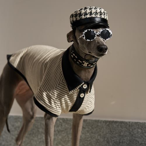 Layer Dog Polo